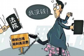 芜湖专业讨债公司有哪些核心服务？